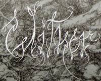 logo Wither (AUS)